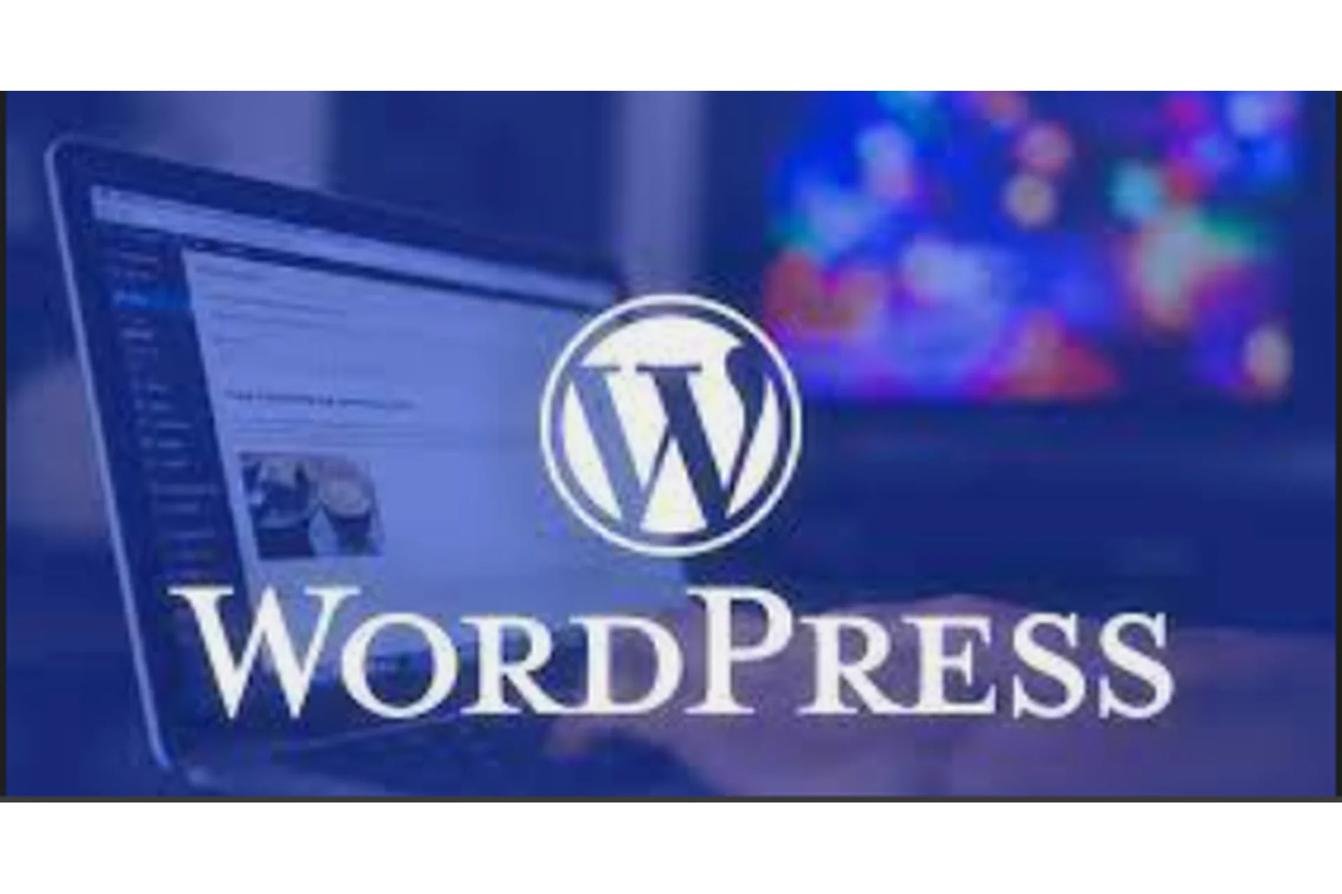 Школа дорвеев 2.0, фото 1 из 1.