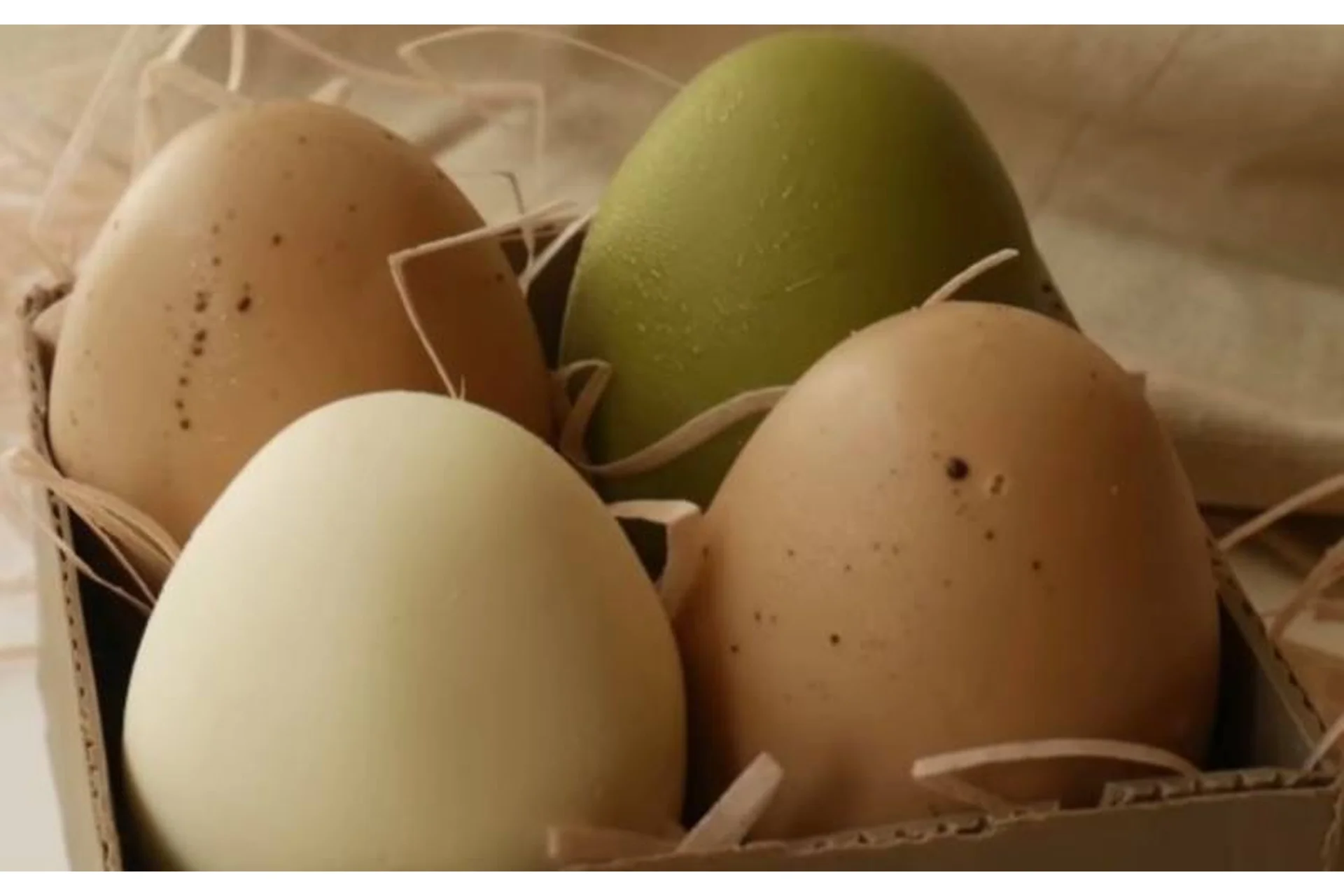 [Студия «Мусс»] Муссовые пирожные в виде яиц (Виктория Углева), фото 1 из 1.