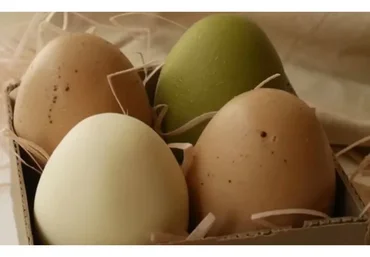 [Студия «Мусс»] Муссовые пирожные в виде яиц (Виктория Углева)