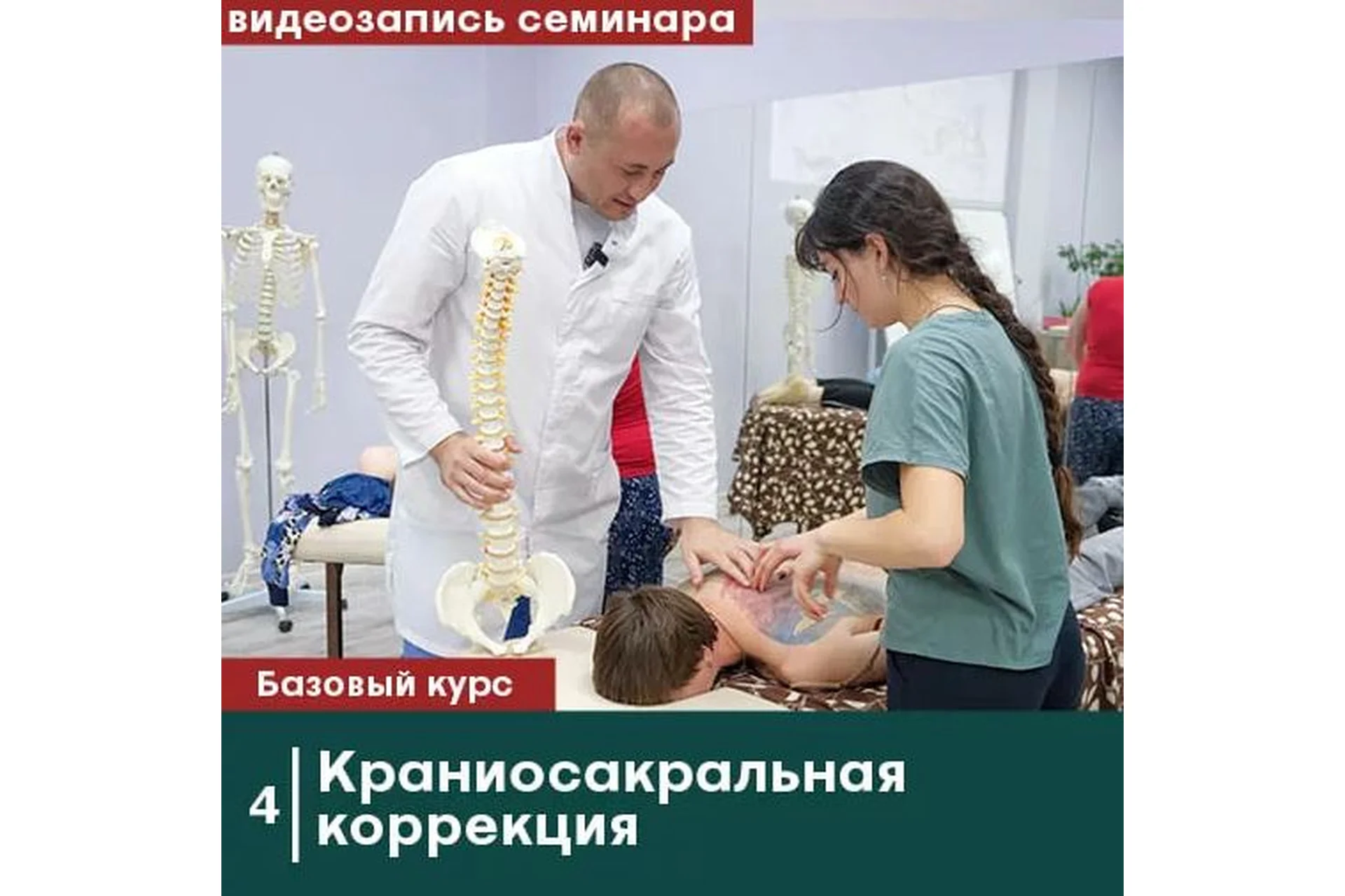 [Сандал] Краниосакральная коррекция. Без сертификата (Антон Циванюк, Михаил Белюк), фото 1 из 1.