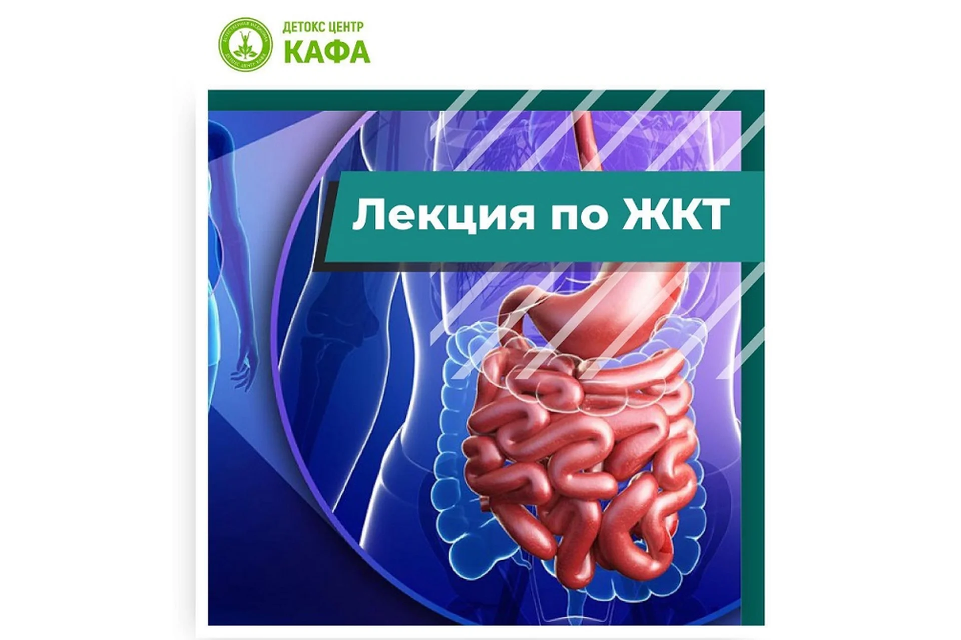[Детокс центр Кафа]  Лекция по ЖКТ, ноябрь 2022 (Игорь Кауфман), фото 1 из 1.