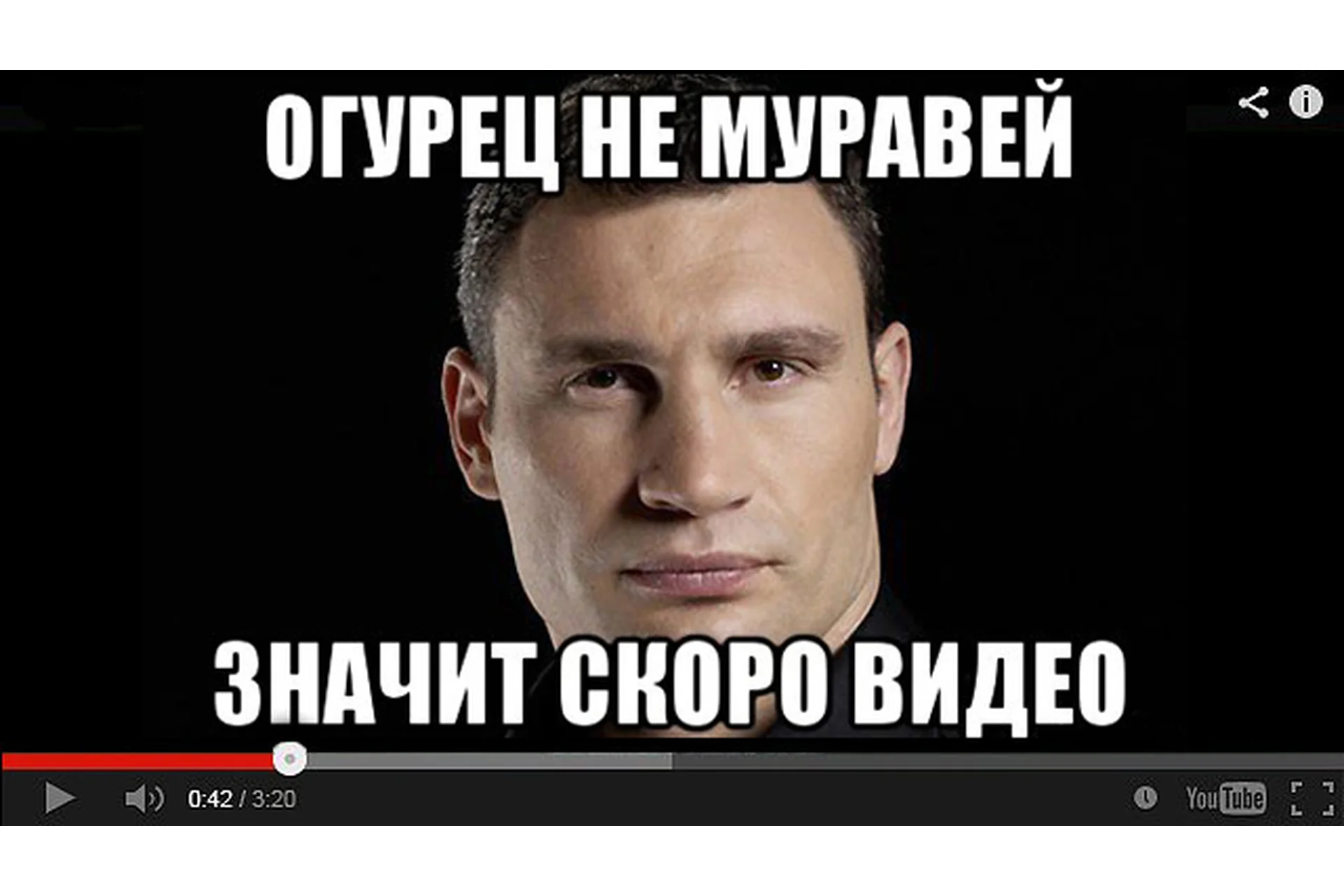 Изготовление качественного видеоконтента для баунти и не только, фото 1 из 1.