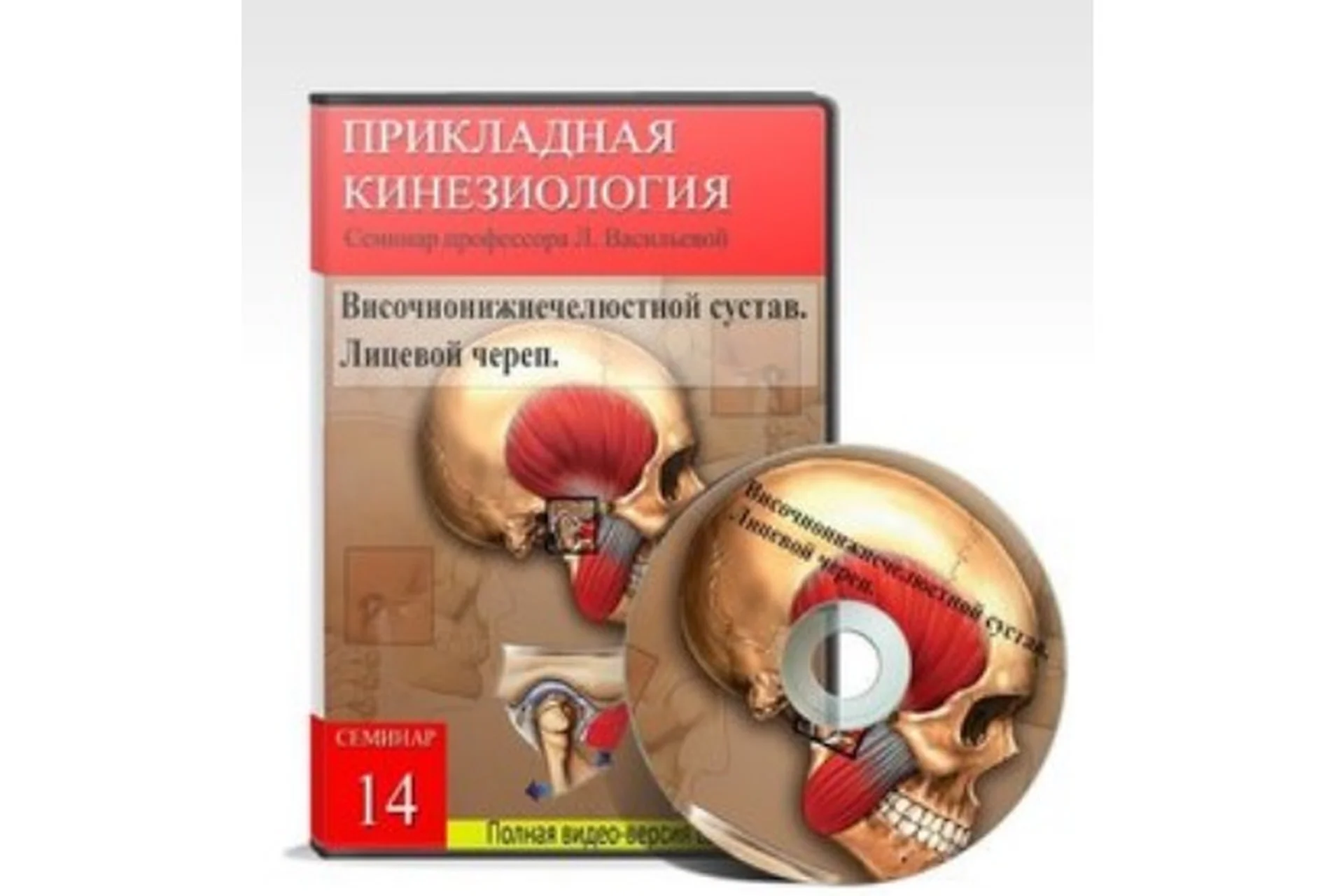 [KinesioLife] Прикладная кинезиология. Семинар №14 (Людмила Васильева), фото 1 из 1.