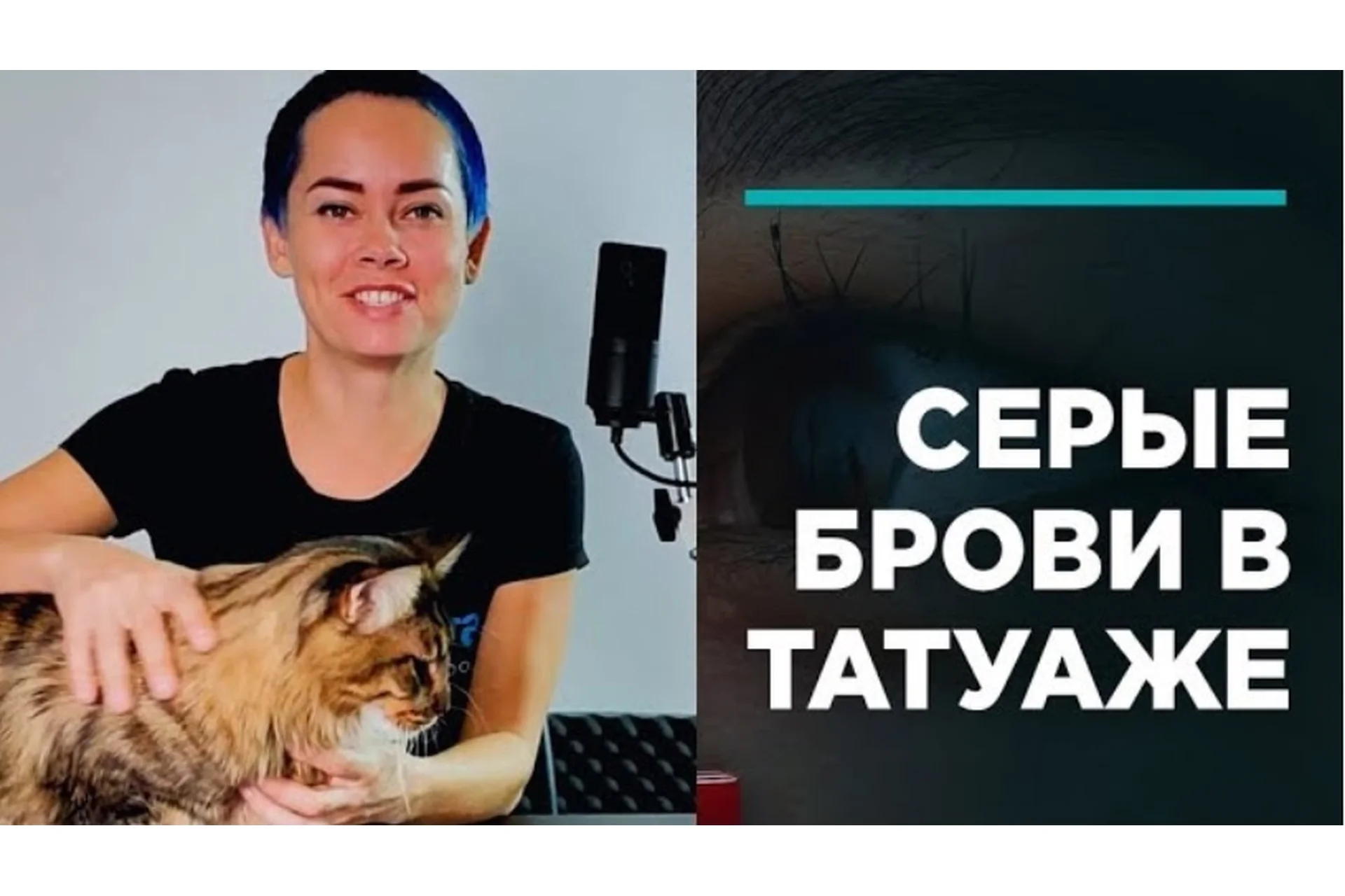 Серые брови в татуаже (Елена Нечаева), фото 1 из 1.