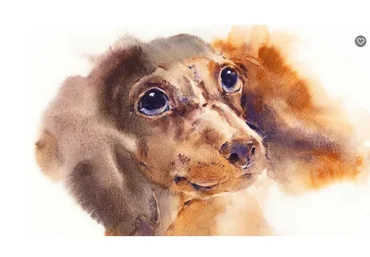 Портрет собаки акварелью в авторской технике (Марина Поспелова)