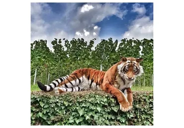 Реалистичная авторская игрушка Тигр (Оксана Шер)