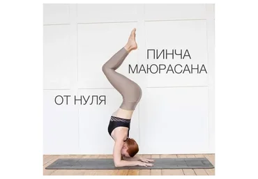 Пинча Маюрасана (Анастасия Рашевская)