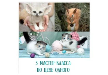 Мастер-классы по «Котёнку, Фенеку и Белочке» (Екатерина Сосина)