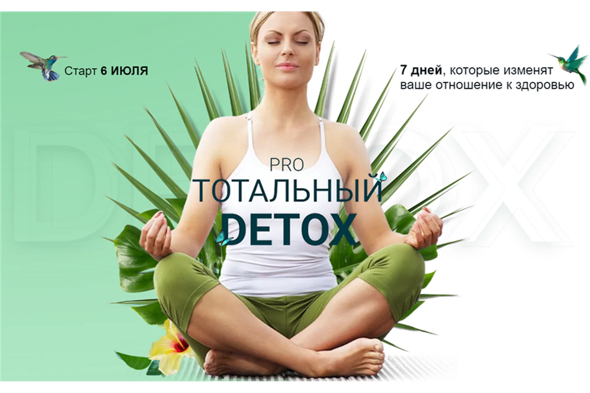 Pro Тотальный Detox (Диляра Лебедева), фото 1 из 1.