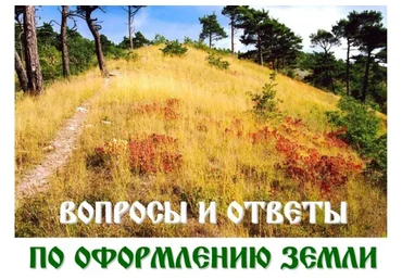 Вопросы и ответы по оформлению земли (Василий Петров)
