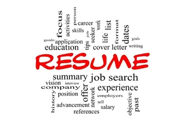 Продающее резюме. Успешное собеседование (Анна Синалеева)