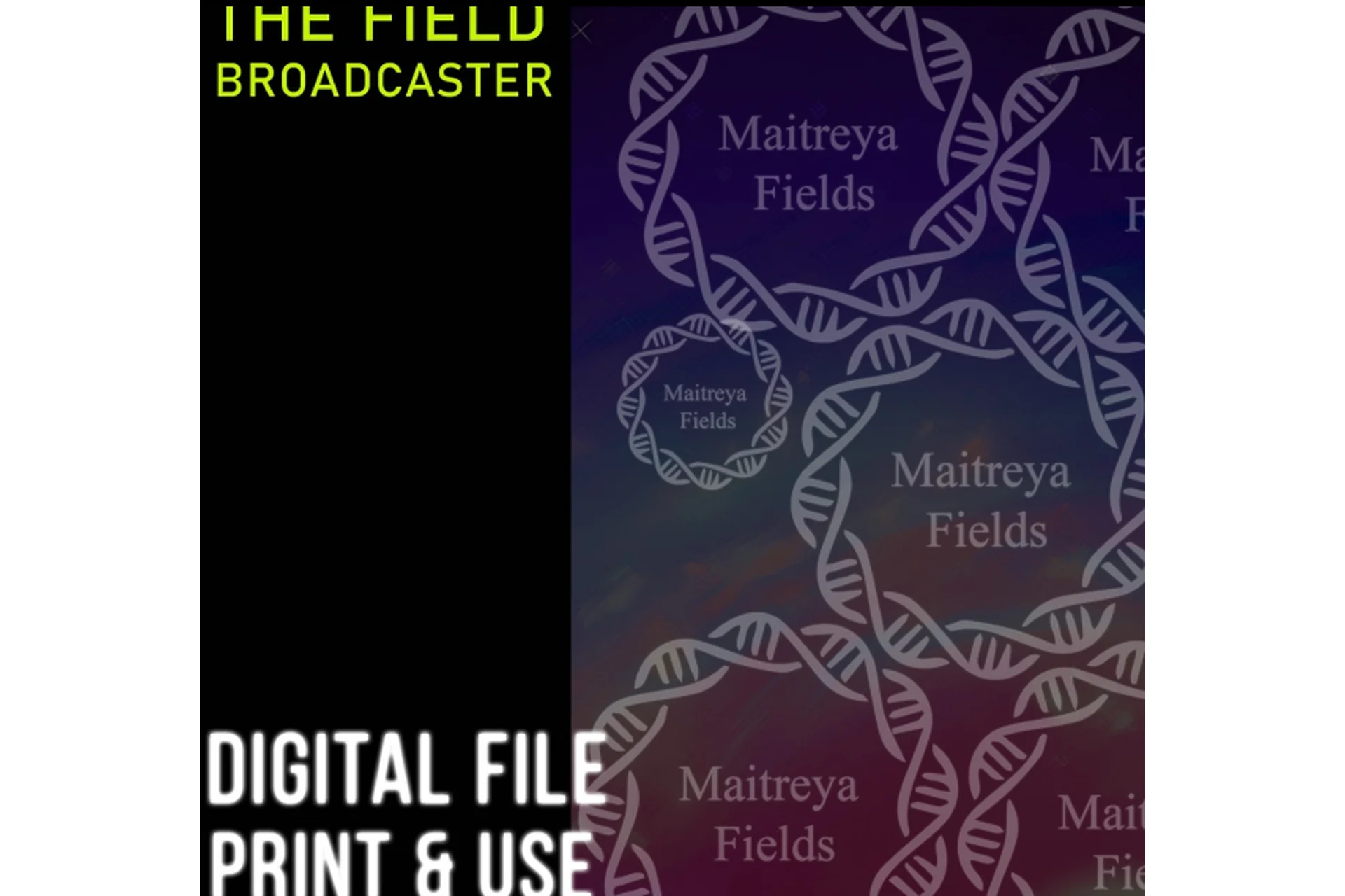 [Maitreya Fields] DM: Полевой вещатель-DM: The Field Broadcaster, фото 1 из 1.