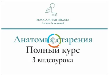 [Массажная школа Елены Земсковой] Анатомия старения. Практические аспекты (Константин Берман)