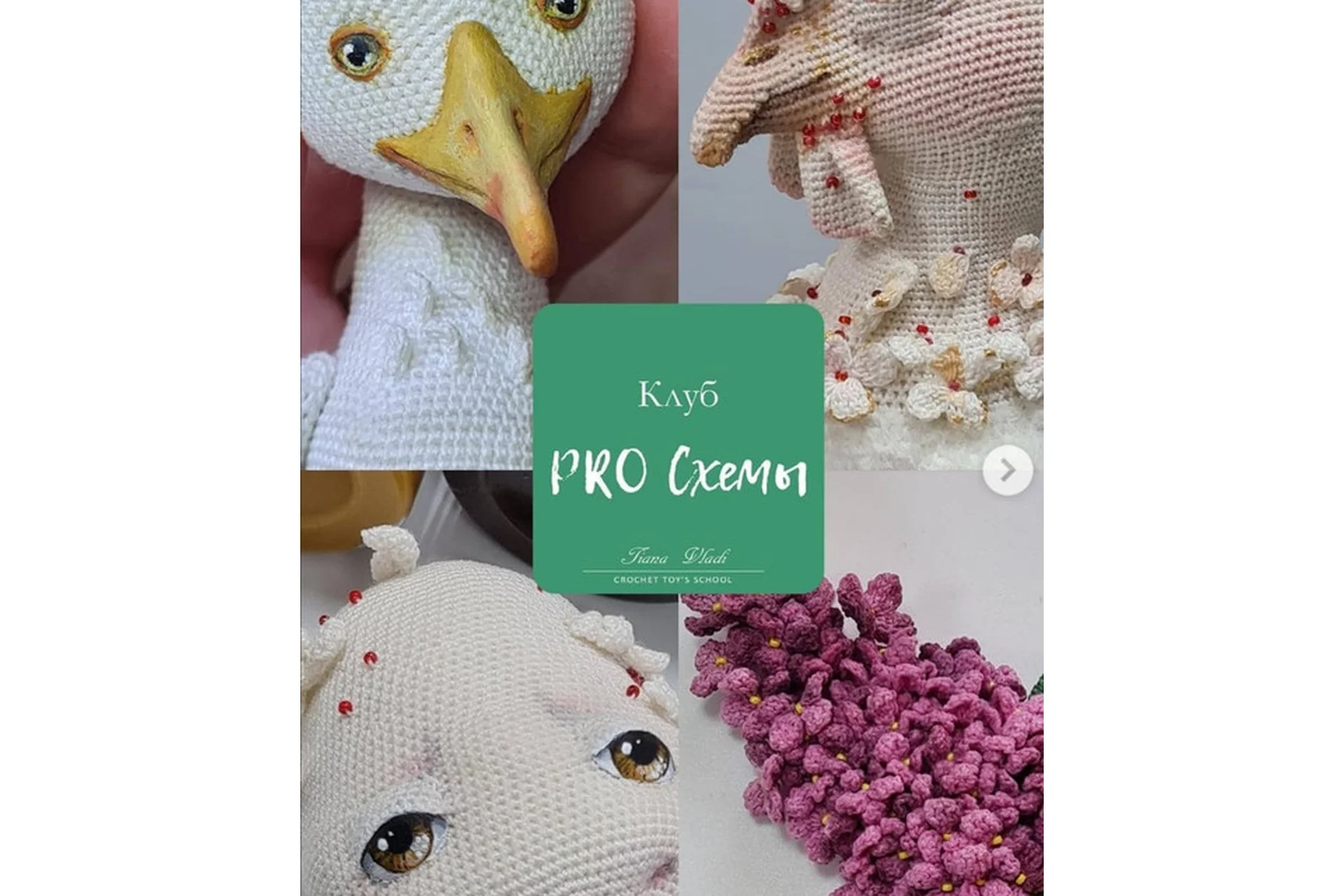 [Tiana Vladi] Клуб PRO Схемы, 2022 (Татьяна Будаева), фото 1 из 1.