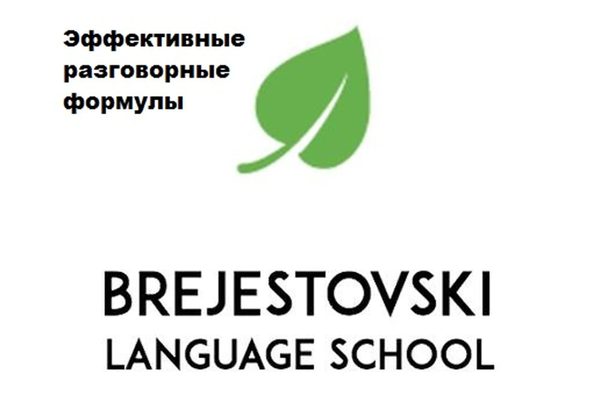 Эффективные разговорные формулы (Антон Брежестовский), фото 1 из 1.