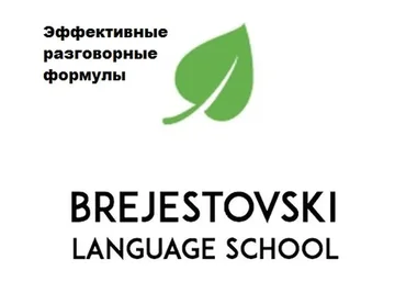 Эффективные разговорные формулы (Антон Брежестовский)