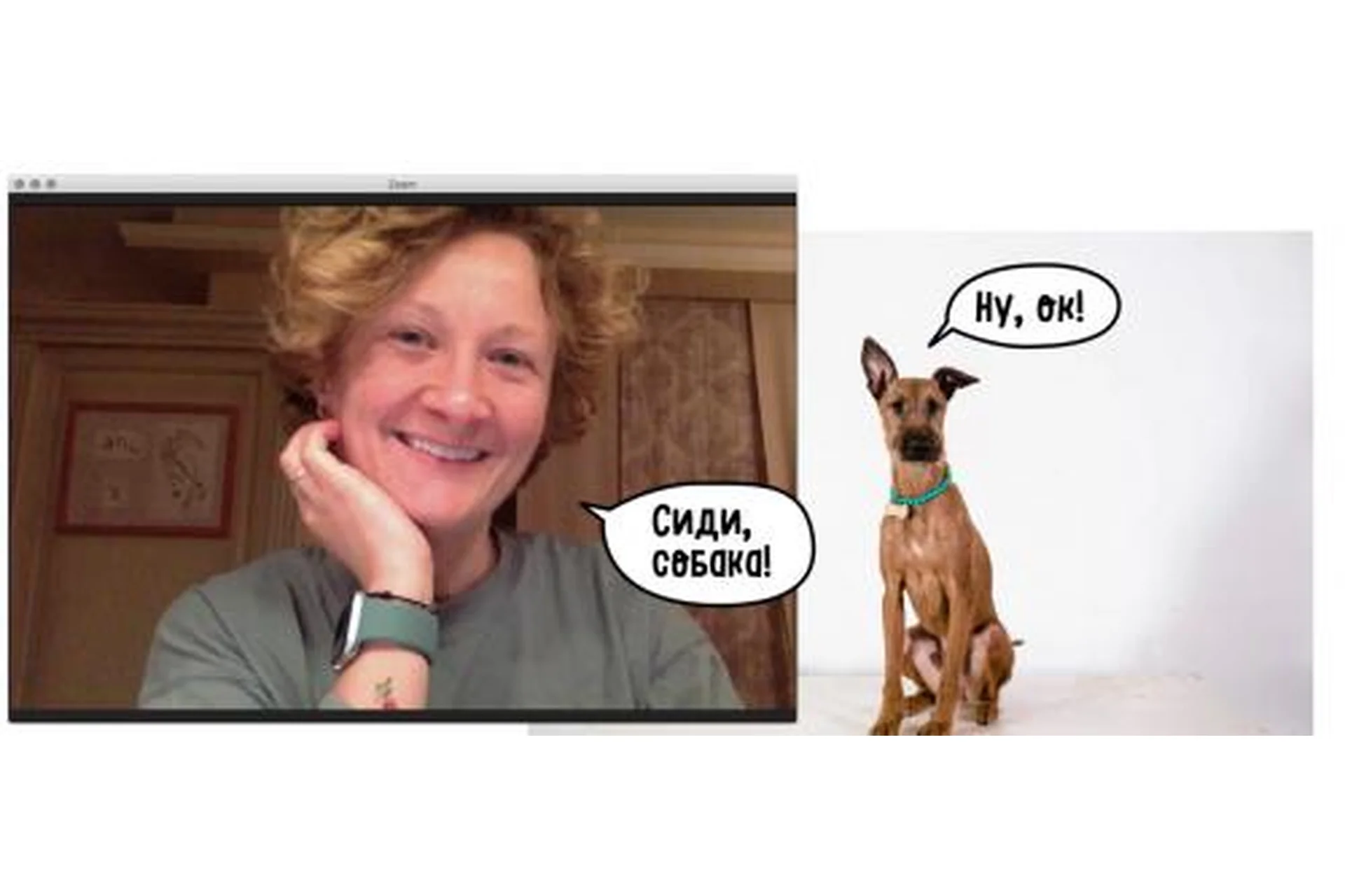 [Pi-Bo] Прикладная дрессировка. Тариф - Минимальный (Надя Пигарева, Оксана Тюльпинова), фото 1 из 1.