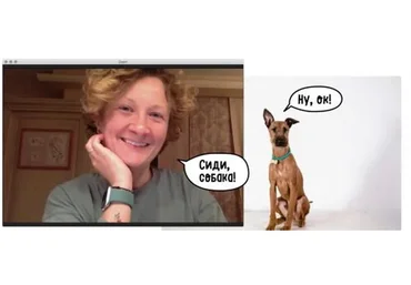 [Pi-Bo] Прикладная дрессировка. Тариф - Минимальный (Надя Пигарева, Оксана Тюльпинова)