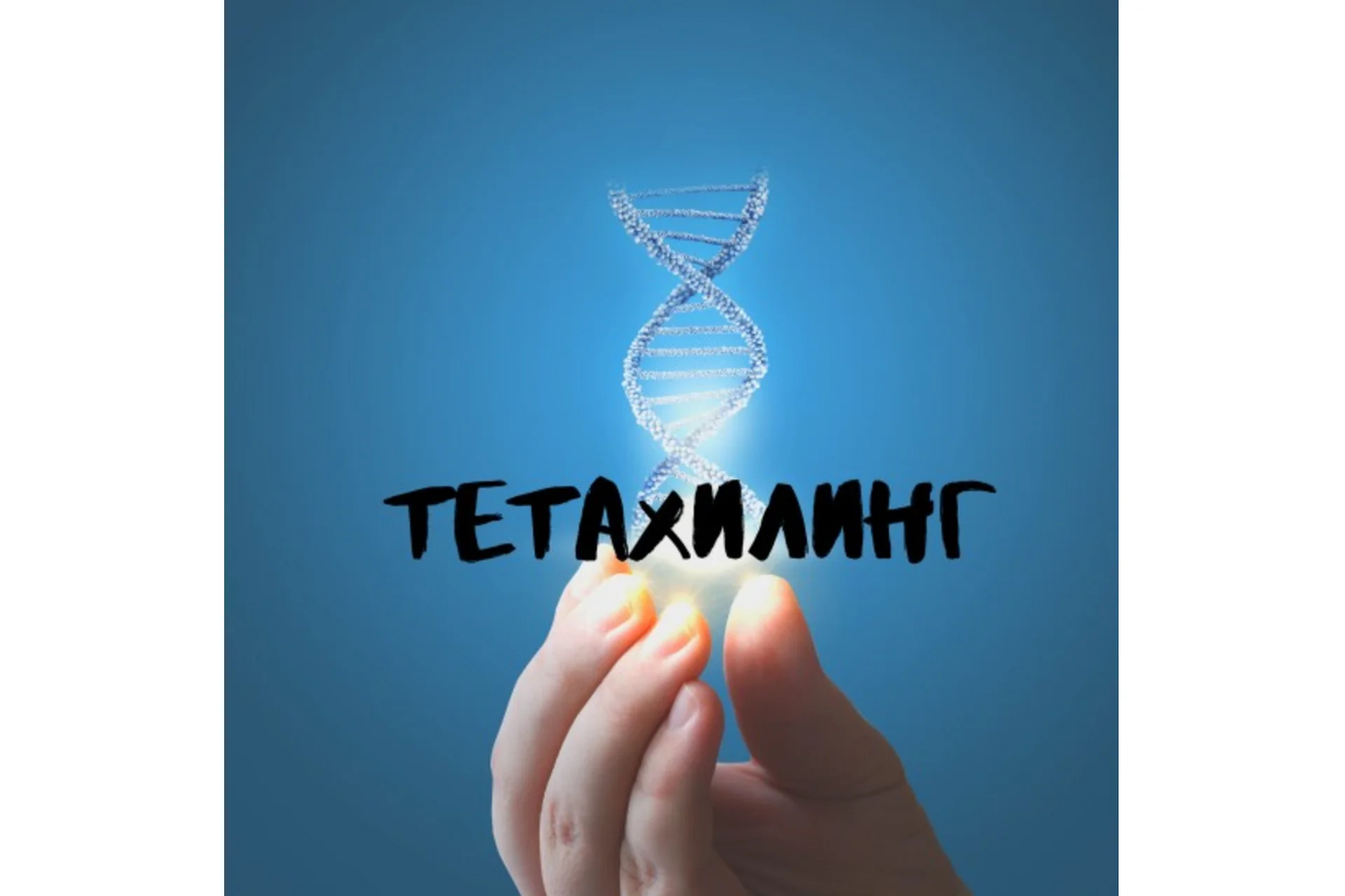 Тетахилинг (Вианна Стеибл), фото 1 из 1.