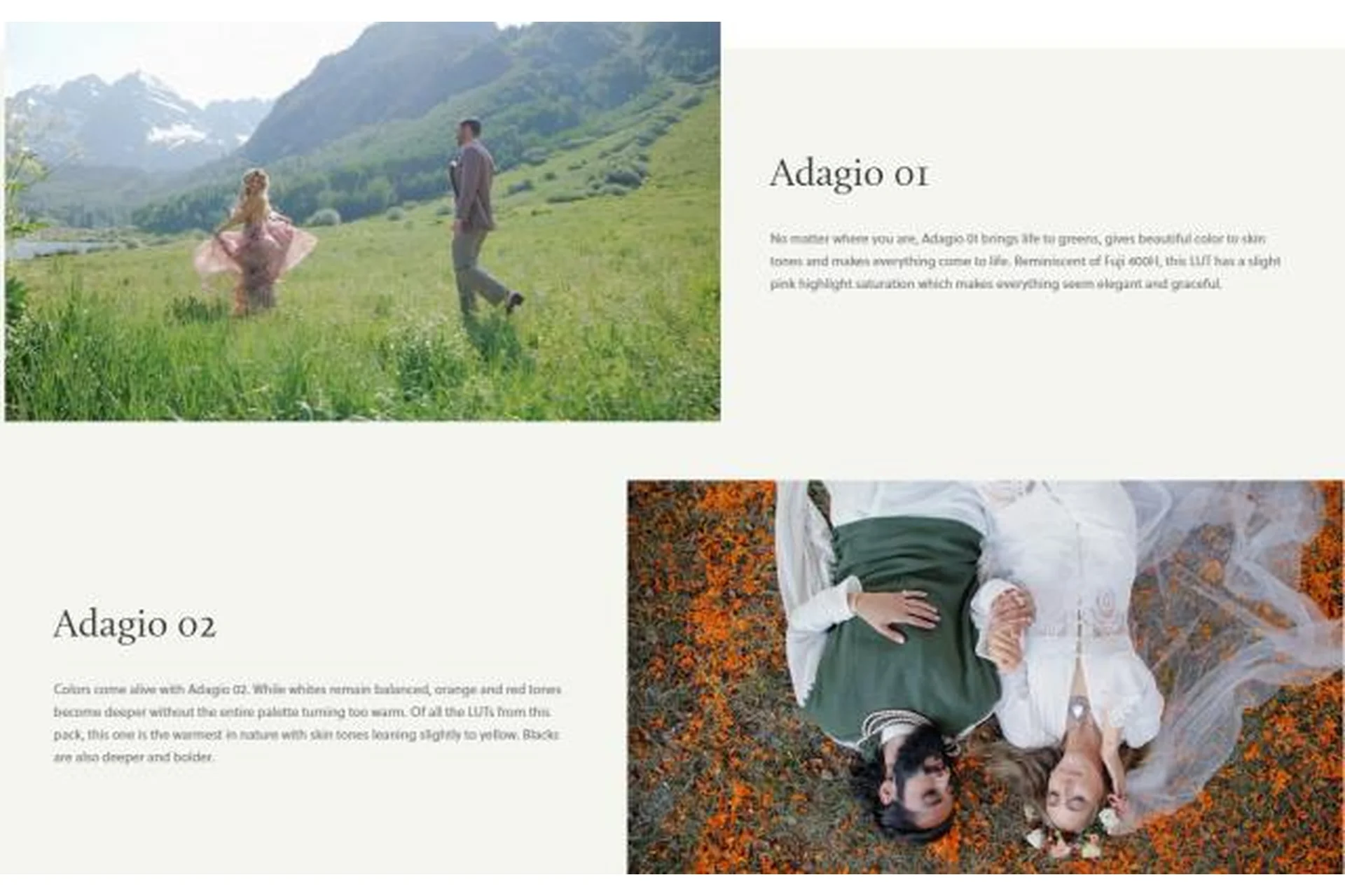 [White in Revery] Классические свадебные луты. Adagio LUTs, фото 1 из 1.