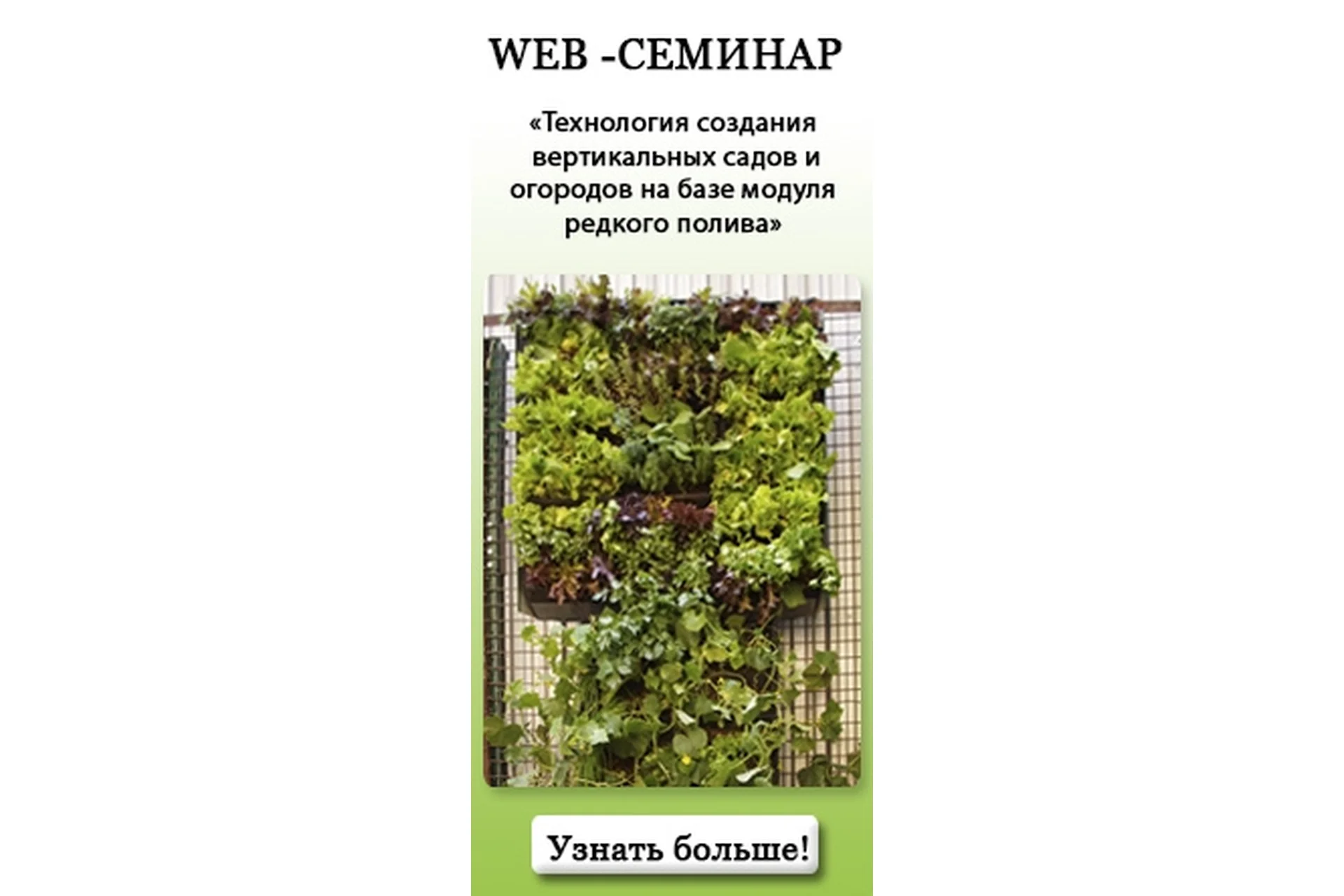 Технология создания вертикальных садов и огородов, 2015 (Наталия Багаева), фото 1 из 1.