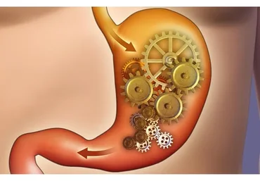 [Интераура] Нормализация работы пищеварительной системы (2015)