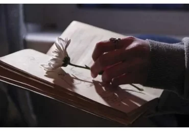 [Storytellers] Искусство вовлечения (Андрей Курпатов, Лилия Ким)