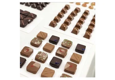 Шоколадные конфеты. Тех.карты (Ольга Фан-Юнг)