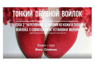 Тонкий обувной войлок. 1+2 выпуск (Инна Олейник)