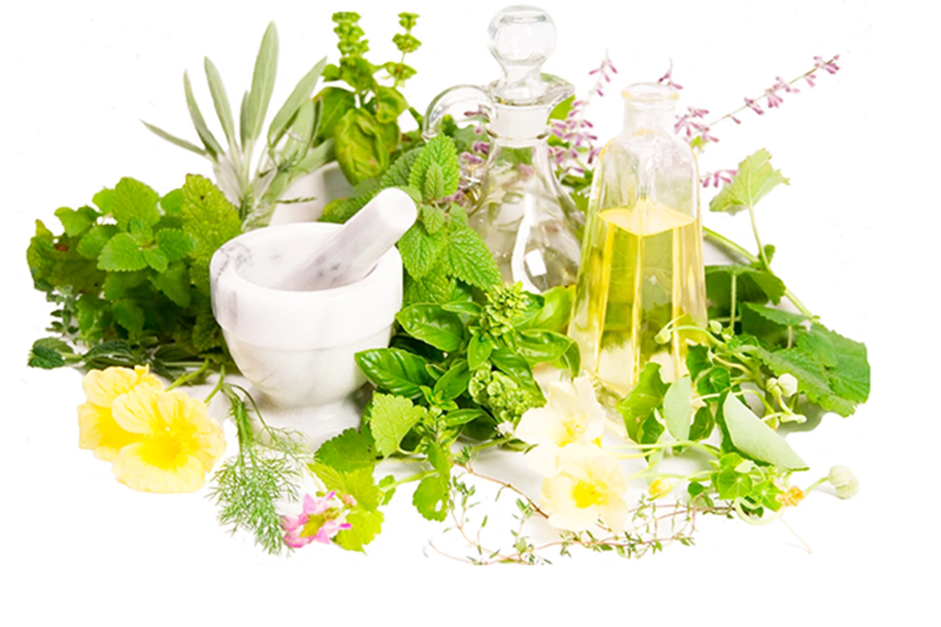 Как быстро избавиться от кашля при бронхо-легочных заболеваниях (Ульвия Голденбрук), фото 1 из 1.