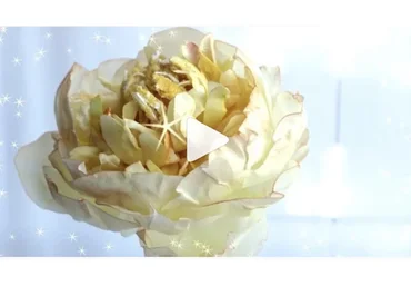 [ledolcimagieditaty] Вафельный пион (Татьяна Ефремова)