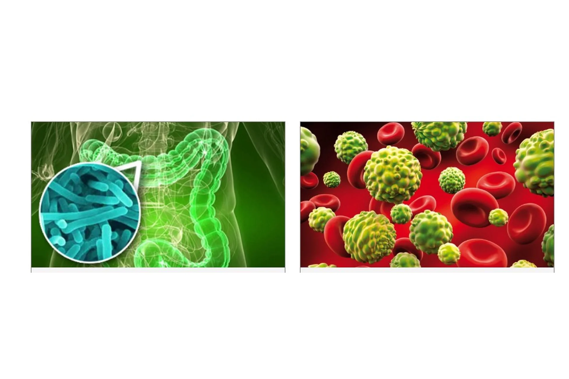 Комплексная программа выведения всего спектра паразитов и грибов из организма (Артем Хачатрян), фото 1 из 1.