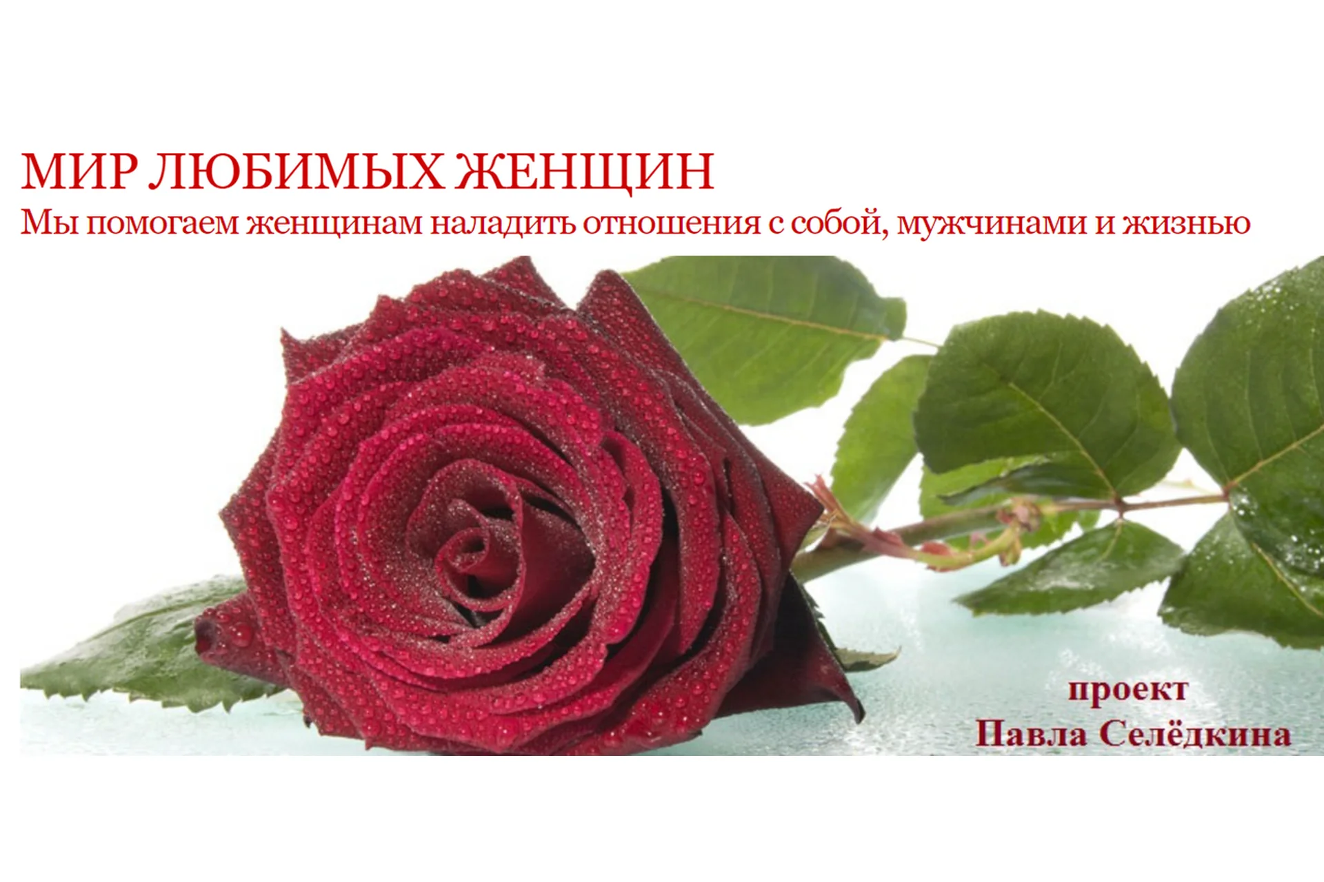 Мудрое тело и сила изменений (Алена Влади), фото 1 из 1.