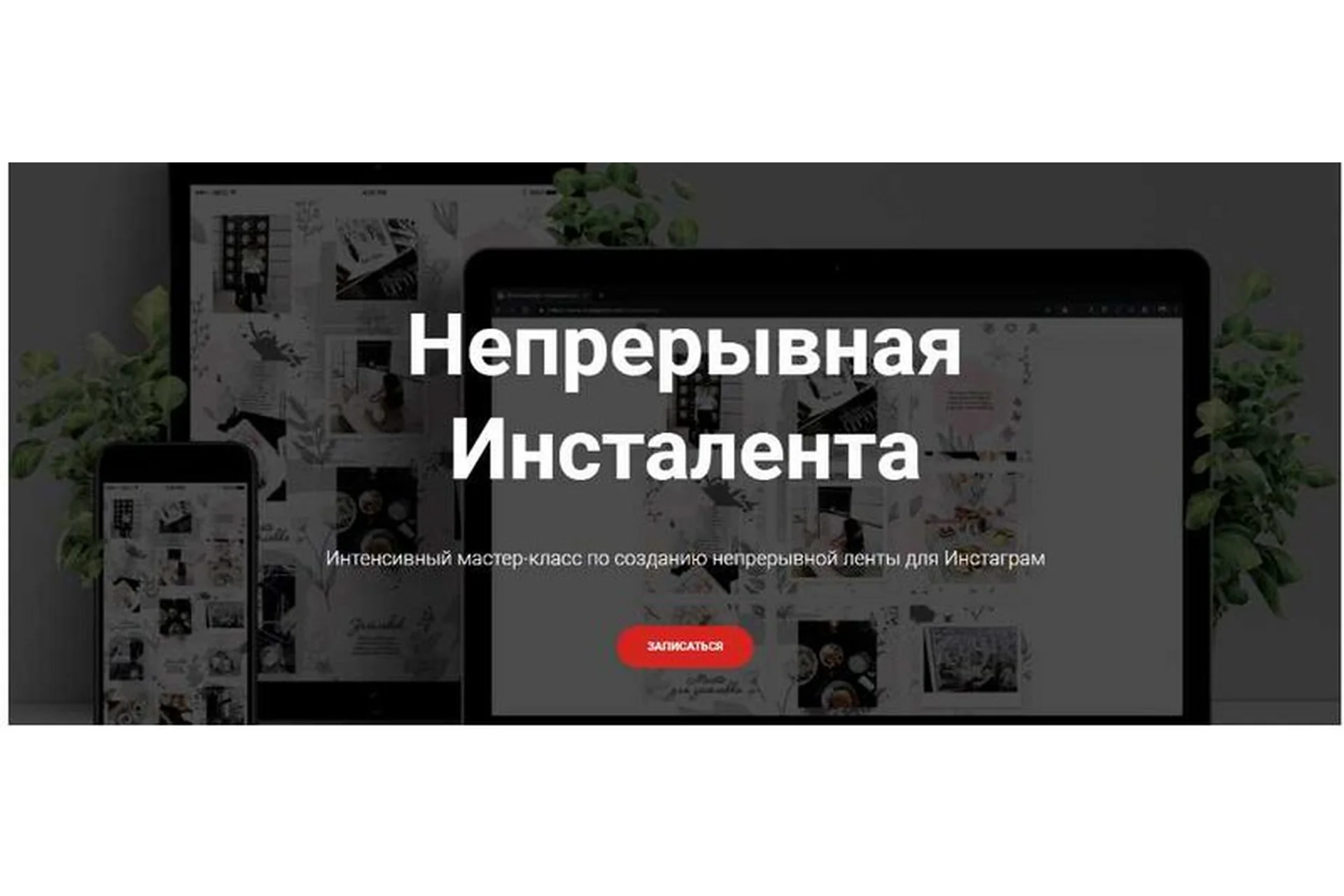 Непрерывная Инсталента (Настя Игнатюк), фото 1 из 1.