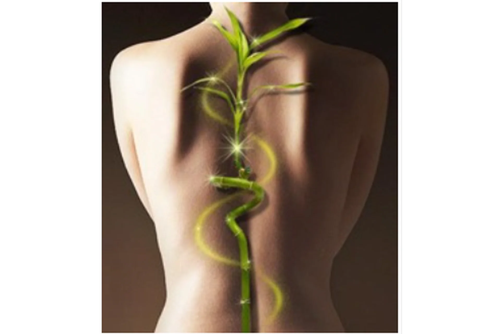 Гимнастика для суставов и позвоночника (Юрий Чернолецкий), фото 1 из 1.