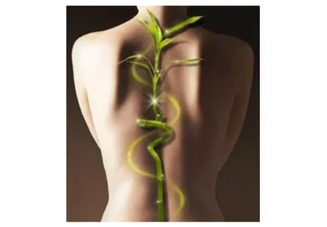 Гимнастика для суставов и позвоночника (Юрий Чернолецкий)