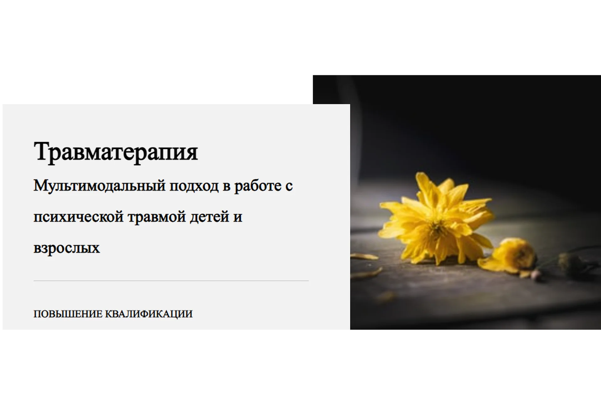 Травматерапия. 3 модуль. Особенности работы с острым стрессовым состоянием (Виктория Унтерова), фото 1 из 1.
