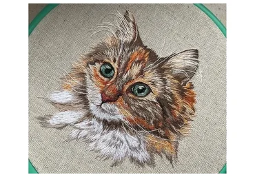 Вышиваю, как хочу (Fairy Embroidery)