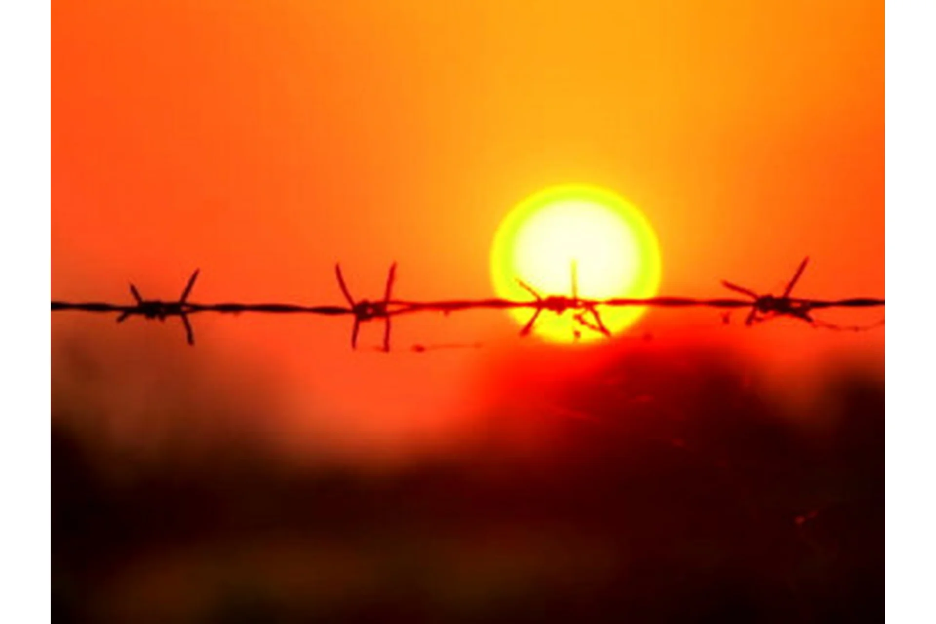 [EduNote]  Путь исцеления: травма как ресурс (Мария Кутузова), фото 1 из 1.