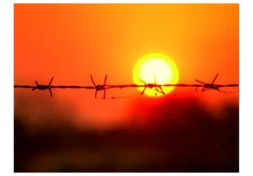 [EduNote]  Путь исцеления: травма как ресурс (Мария Кутузова)