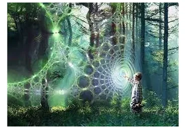 Прошлые жизни: обучение регрессии (Анна Гак)