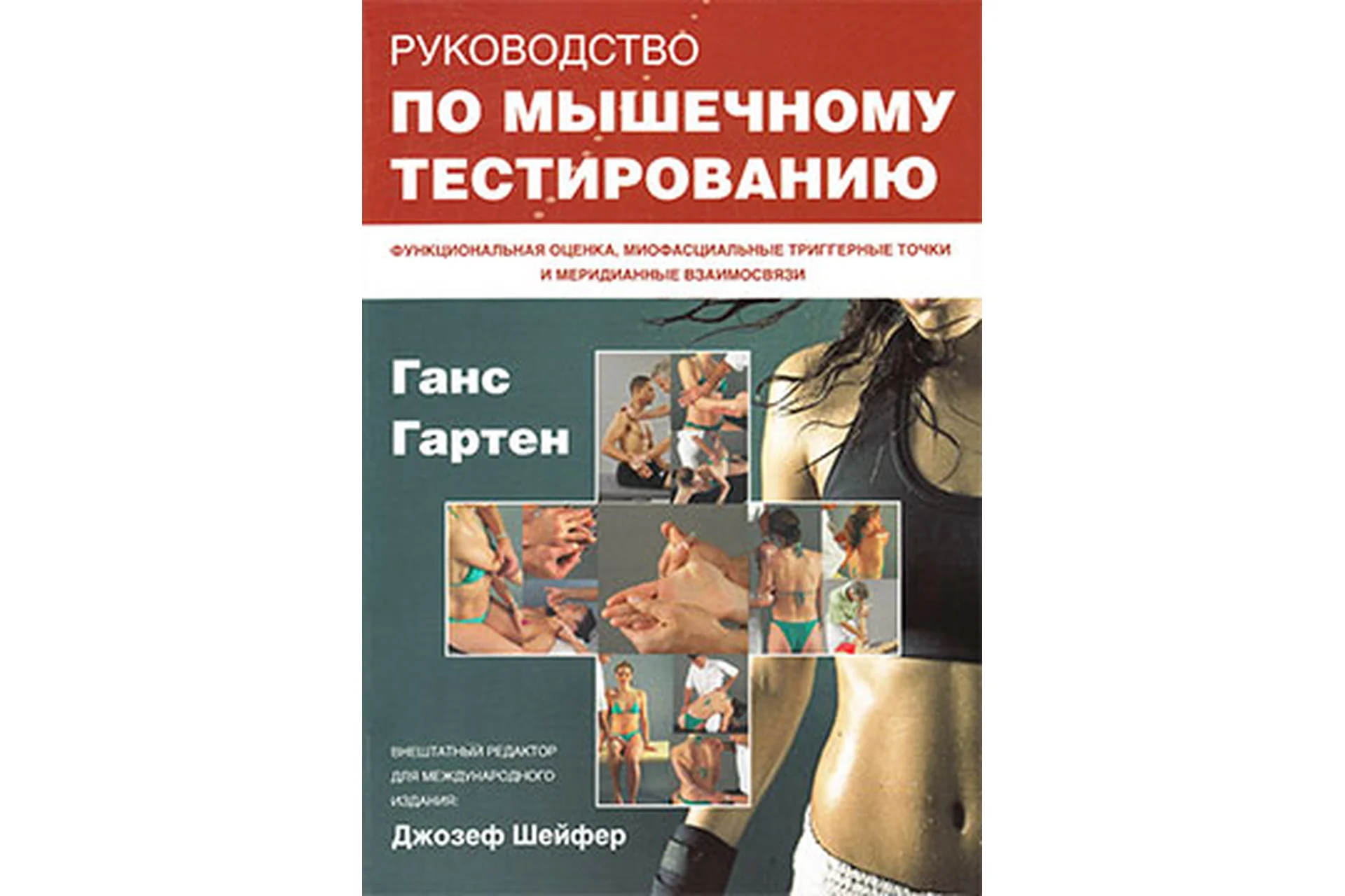 Руководство по мышечному тестированию (Ганс Гартен, Джозеф Шейфер), фото 1 из 1.