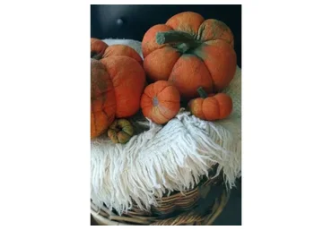 [Masterfelt] Валяная подушка «Тыква» (Наталия Луната)