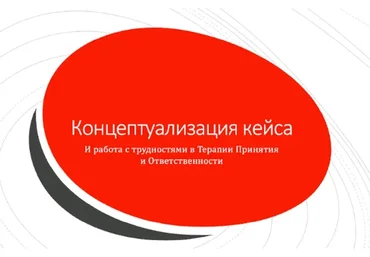 Концептуализация кейса в АСТ (Николай Павлов)