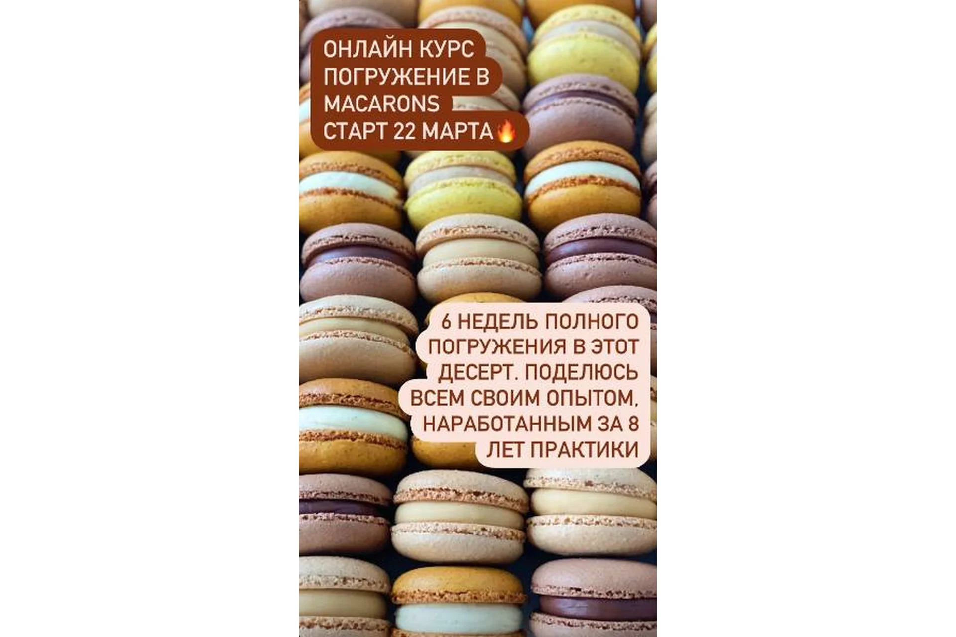 [veryirresistible18] Погружение в macarons (Анна Томильчик), фото 1 из 1.