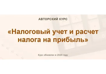 [Учет без забот] Налоговый учет и расчет налога на прибыль. 2020 (Ольга Шулова)