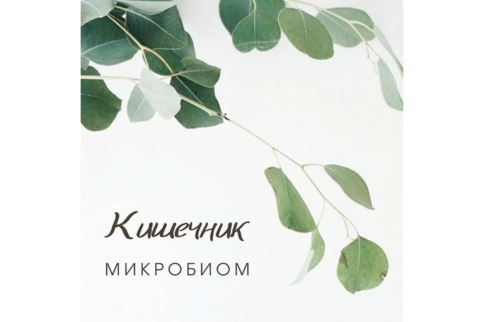 Гид по микробиоте: дисбактериоз, питание, пробиотики (Анастасия Родионова), фото 1 из 1.