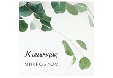 Гид по микробиоте: дисбактериоз, питание, пробиотики (Анастасия Родионова)