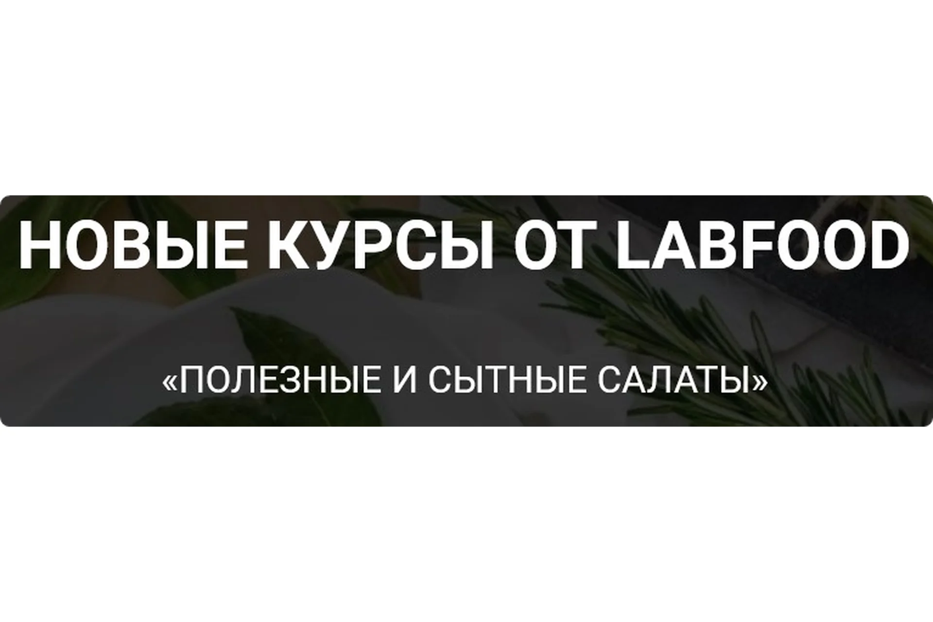 [Labfood] Полезные и сытные салаты (Яна Нетреба, Анастасия Нехорошкова), фото 1 из 1.