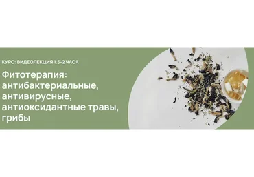 Фитотерапия: антибактериальные, антивирусные, антиоксидантные травы, грибы (Анастасия Родионова)